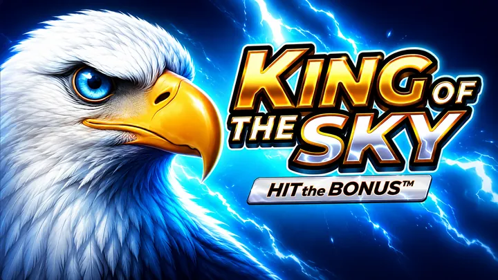 King of the Sky game artwork